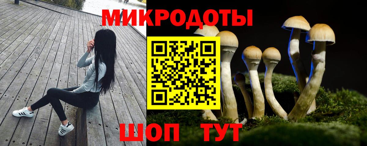Орёл  Псилоцибиновые грибы мухоморы  Вход с VPN 